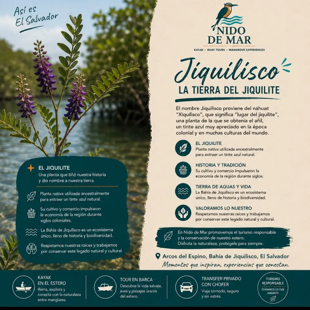 Jiquilisco — La tierra del jiquilite