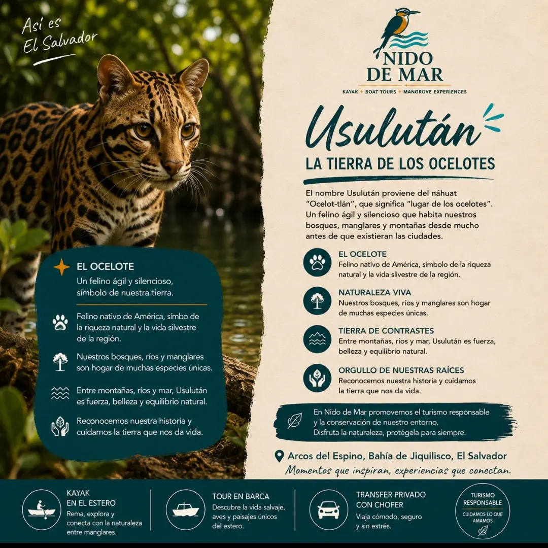 Usulután — La tierra de los ocelotes